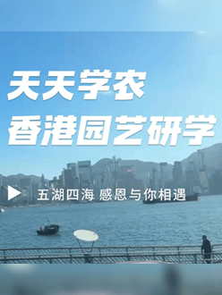 与香港园艺学会联合举办香港园艺研学，专业园境师带队讲解。