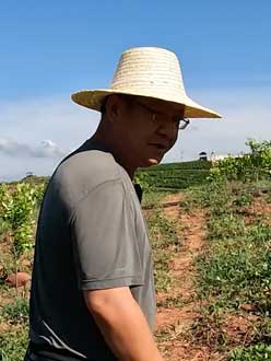 农业人叶涛，50多岁通讯人跨界搞农业，他要用1000万打造一个梦。